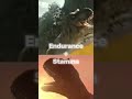Ember vs Demon carnotaurus #jurassicworldrebirth #jurassicworld #chaostheory
