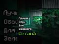 Лучшие зеленые обои для твоего сетапа #сетап #рекомендации #обои #wallpaper