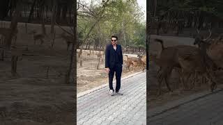 Ahsan Khan Visit Safari Zoo Lahore Wild On Beat Life Officially