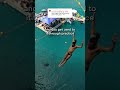 do divers get distracted by the camera? @katwthehat is here to answer that one 🎥 #shorts