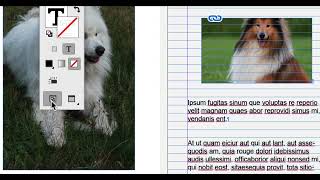 SESSION B juin2024 INDESIGN BASES MARDI 05 , Adobe, une formation par Thierry Dambermont