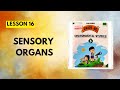 STD 3rd|EVS|Lesson 16|Sensory organs|Chetana Grade Me EVS Workbook Question Answers