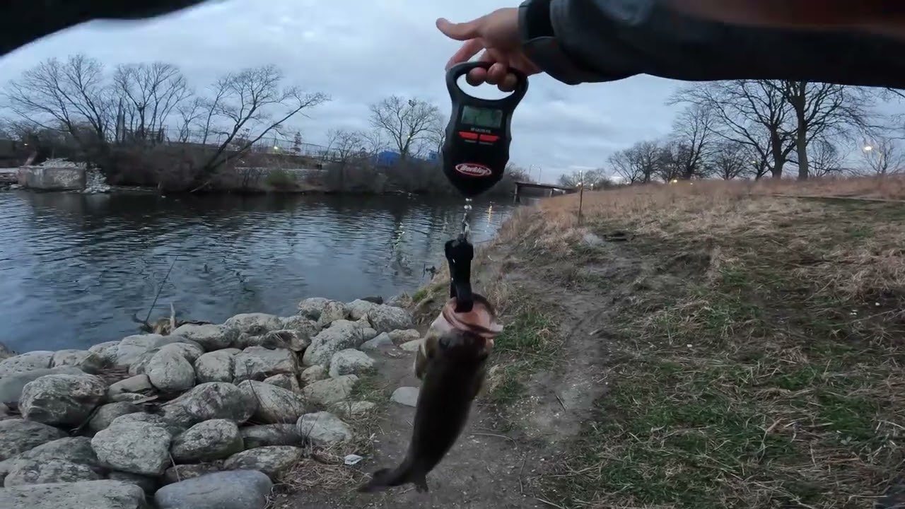 Bass Fishing at the River Park Dam in Chicago, IL