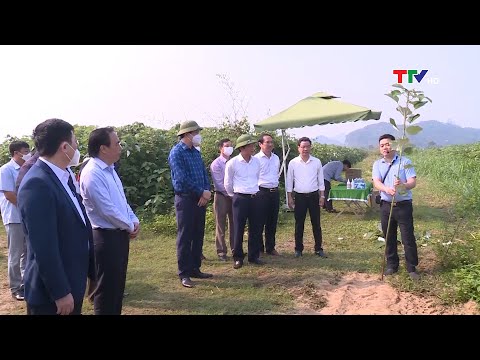 Video Đánh giá kết quả thực hiện cơ chế chính sách phát... - youtube