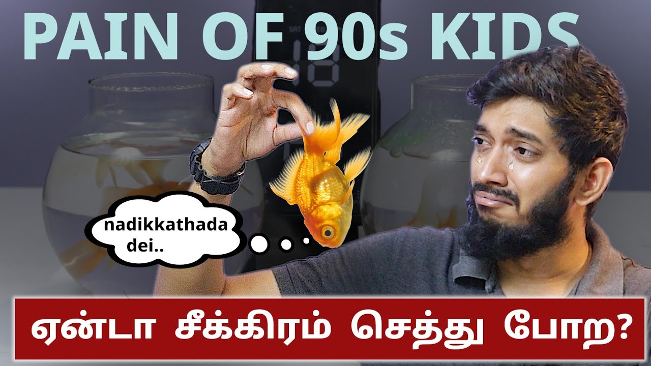 Why color fishes Die so quickly?? YouTube