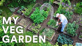 My Ultra LowMaintenance Garden: The Full Tour