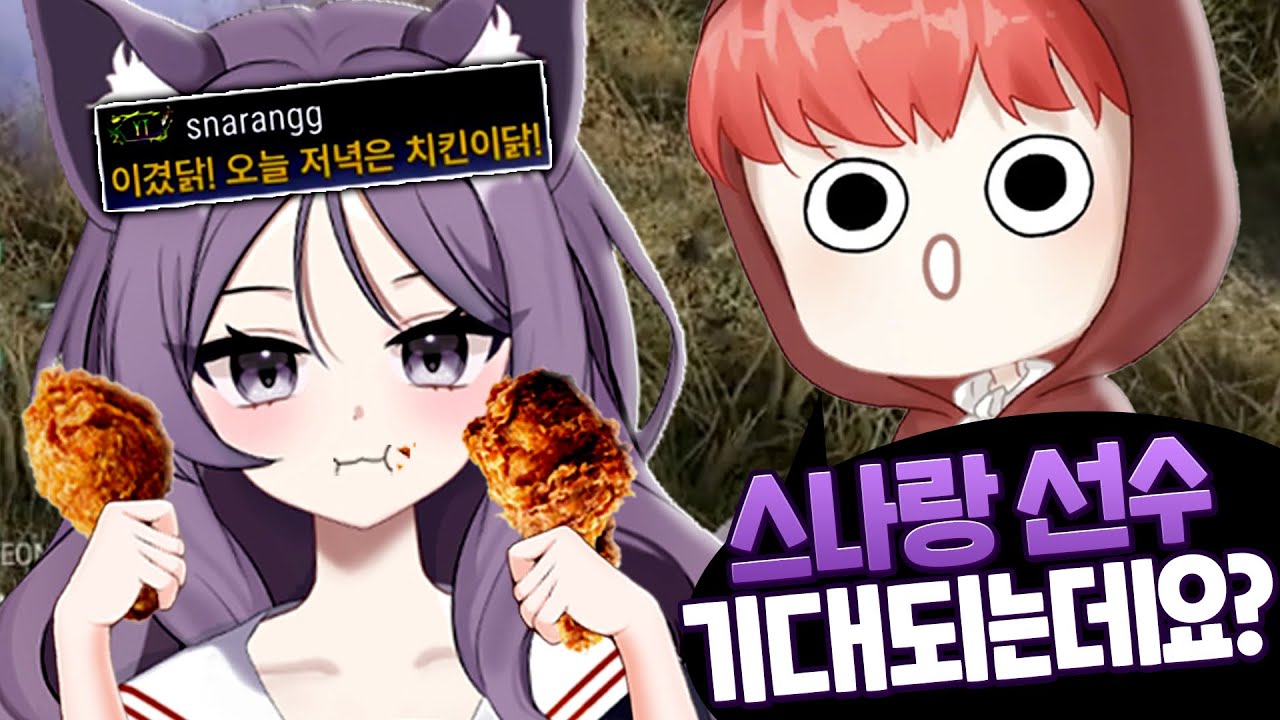 시청자 10000명이 보고 주키니님이 샤라웃 해준 그 배그대회