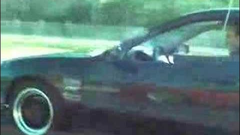 srt4 vs. cft integra