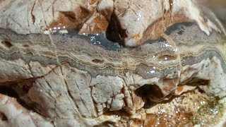 ATAGI: ROCKHOUNDING Autauga Creek: Jasper and Agates in Atagi "Pure Water" (E2)