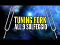 Tuning fork sound healing with all 9 solfeggio frequencies