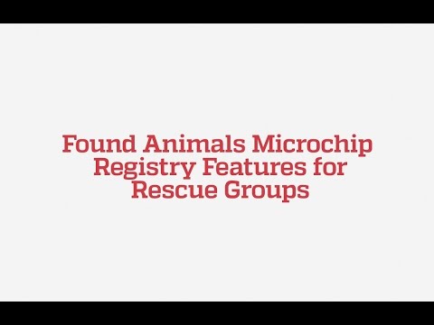 found animals microchip