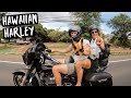 FORGET THE RENTAL CAR RIDE A HARLEY DAVIDSON MAUI HAWAII