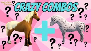 CRAZY COMBOS = AMAZING NEW FOALS! BREEDING ON WILD HORSE ISLANDS!