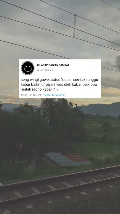 story wa || Sri minggat (Denny Caknan ft. Danang)