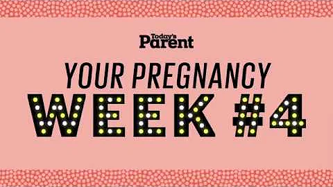 Your pregnancy: 1-4 weeks