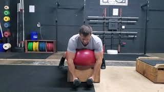 Swiss Ball Reverse Fly