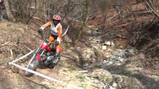 00053Walt.wmv