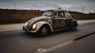 DUNG BEETLE ROLLIN'