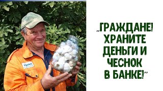видео:  картинка: