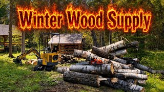 Winter Cabin Survival: Cords of Wood, Freezing Temps & One Epic Challenge!