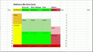 Microgreen Wellness Mix Project and Sunflower Hull Drop Experiment