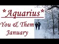 AQUARIUS LOVE 💘Absolutely Your Person!💘 JANUARY 2021