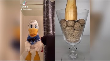 Donald Ducc Reacts To Satisfying Tiktoks (DO NOT LAUGH CHALLENGE) @DonaldDucc