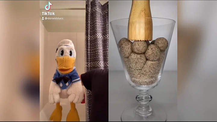 Donald Duck Reacts To Satisfying Tiktoks (DO NOT L...