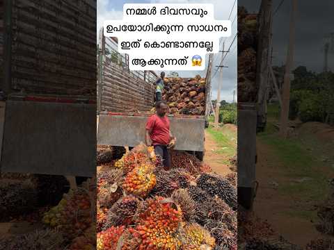 ഇതാണല്ലേ ആ സാധനം #shortsfeed
