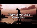TIGINI X NO LOVE SLOWED REVERB