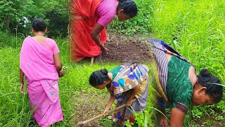 Planting seeds, harvesting vegetables, nature lovers 