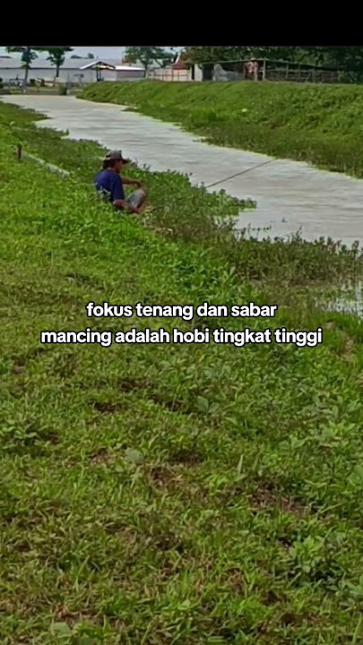 story mancing#shorts #storymancing #storywa #mancing #angler #hobimancing