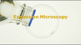 Expansion Microscopy