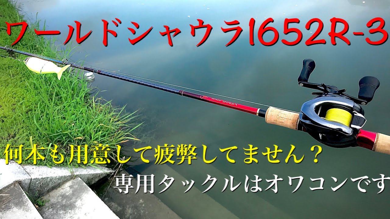 シマノ ワールドシャウラ1652R-3-