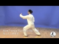 24 form tai chi demonstration back view master amin wu 24