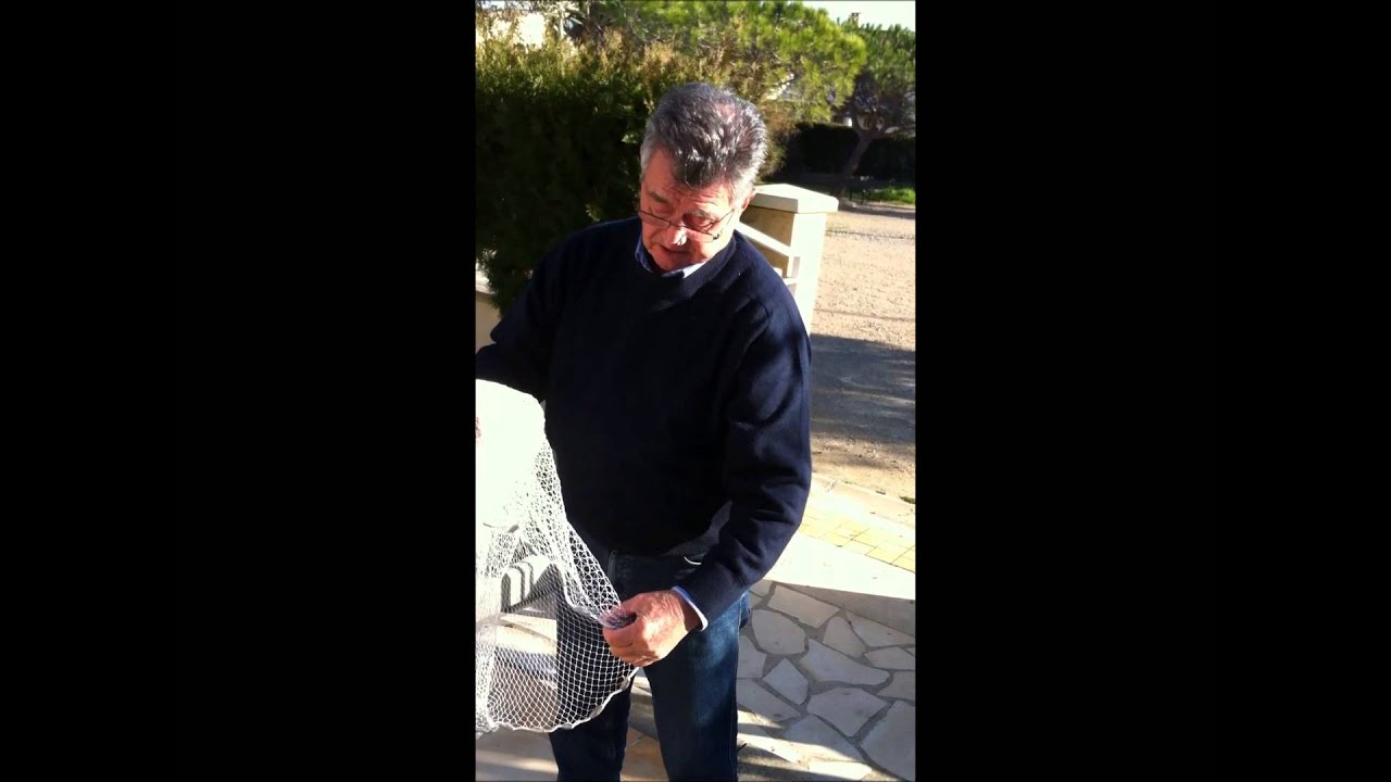 Le lancer d'épervier