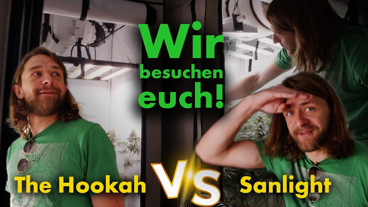 SANlight EVO 4 vs.  The HOOKAH 320W💡 Zwei Zelte im Direktvergleich! – Hausbesuch #6