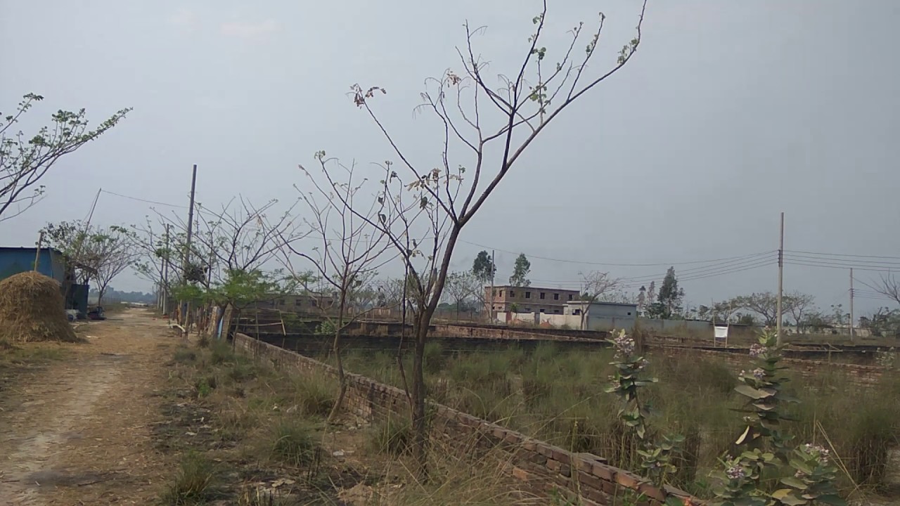 Chandrima Uddan, Mohammadpur, Dhaka