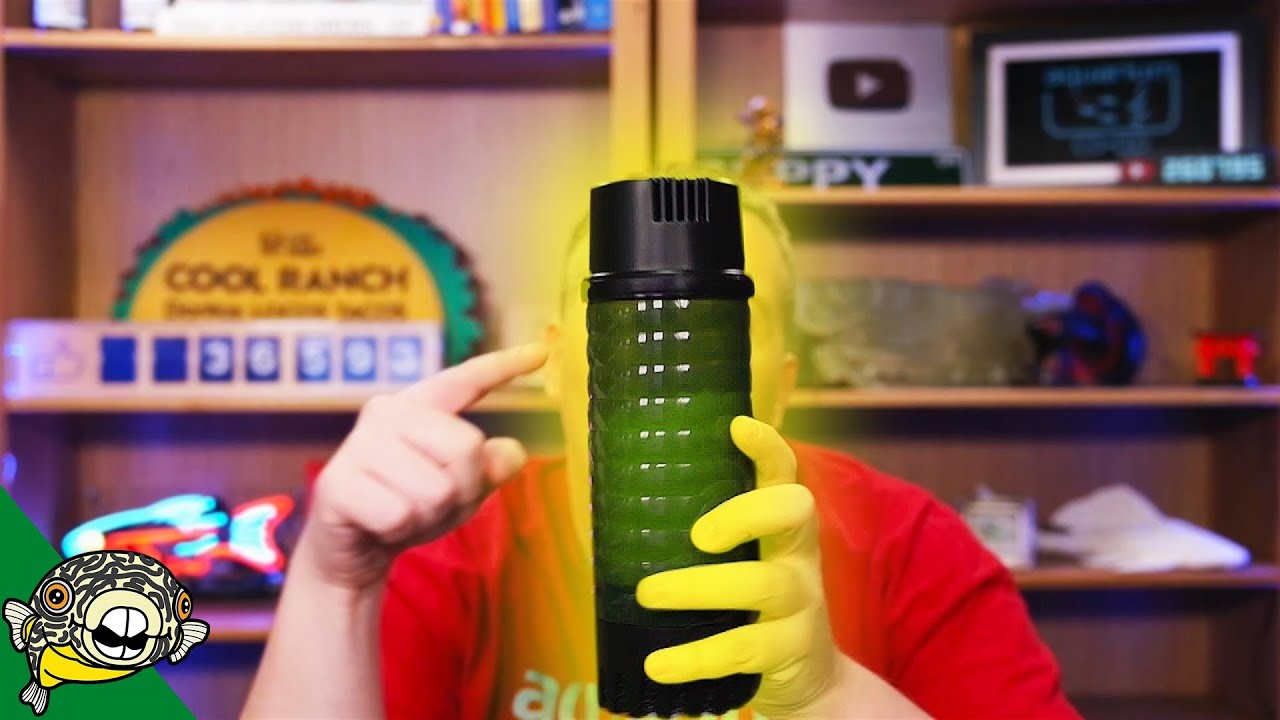 best goldfish filter