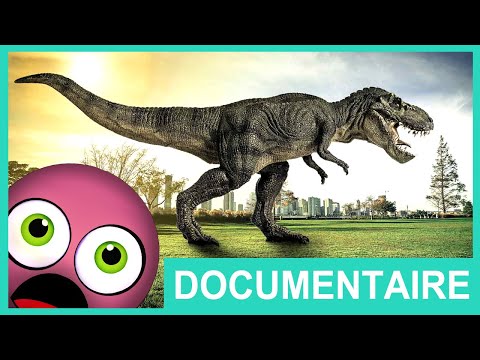 Vidéo: Un Squelette De Dinosaure Complet A été Trouvé Au Japon - Vue Alternative