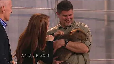 Anderson Surprises Julianne Moore with a Beaver