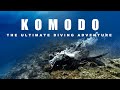4k komodo island divingthe ultimate diving adventure bluemarlindive labuanbajo indonesia