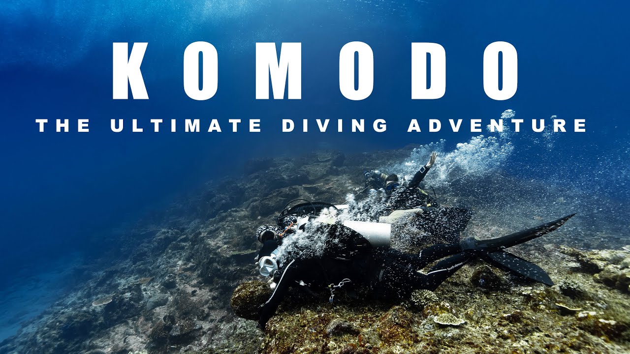 [4K] KOMODO ISLAND DIVING-The Ultimate diving adventure 코모도다이빙#bluemarlindive #labuanbajo #indonesia