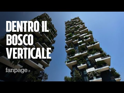 Video: Giardino Grattacielo In Compensato