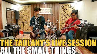 THE TAULANY'S - ALL THE SMALL THINGS ( LIVE SESSION )