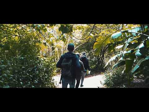 Botanic Garden - LISBON | CINEMATIC | TRAVELVIDEO