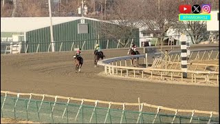 2YO Dominates His Few Rivals in 2025 Parx Future Stars Stakes