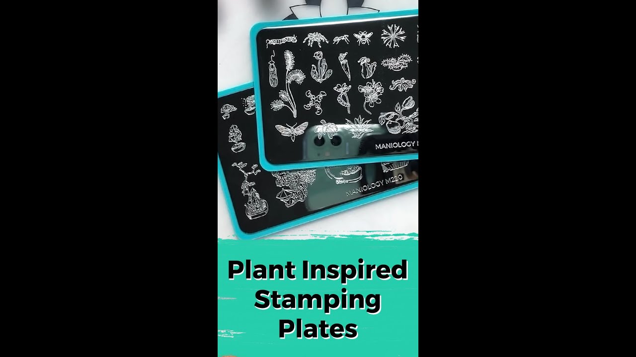 9. Inexpensive Nail Art Stamping Plates - wide 6