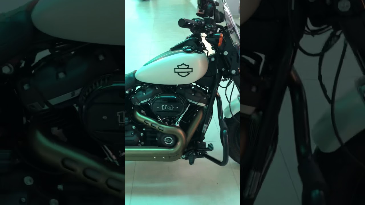 Harley Davidson - Pelicula Proteção Pintura PPF - ArtsomAuto