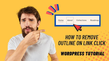 Remove Outline Border on Link Click WordPress Website | Custom CSS